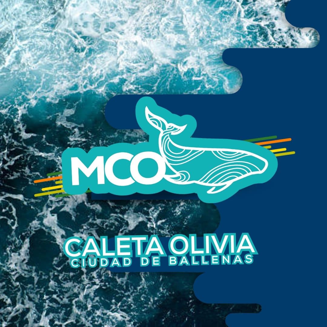 municipalidad caleta